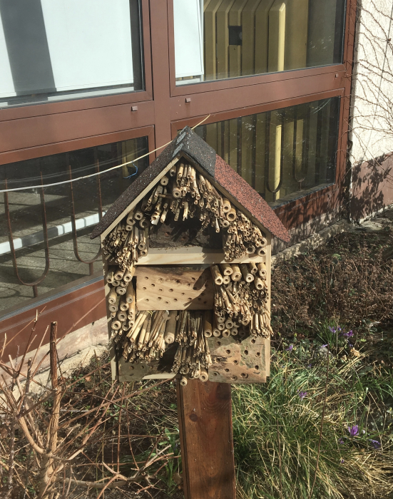 img_9413.jpg img_9413.jpg